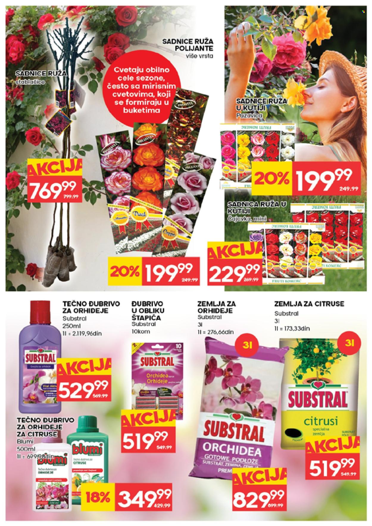 Idea katalog - 12.03.2026 - 18.03.2026. Stranica 31