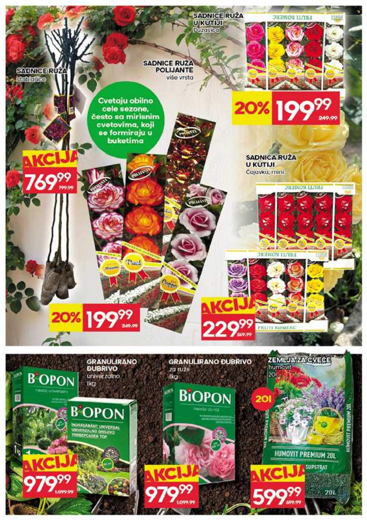 Mercator Centar katalog - 19.03.2026 - 25.03.2026. Stranica 31