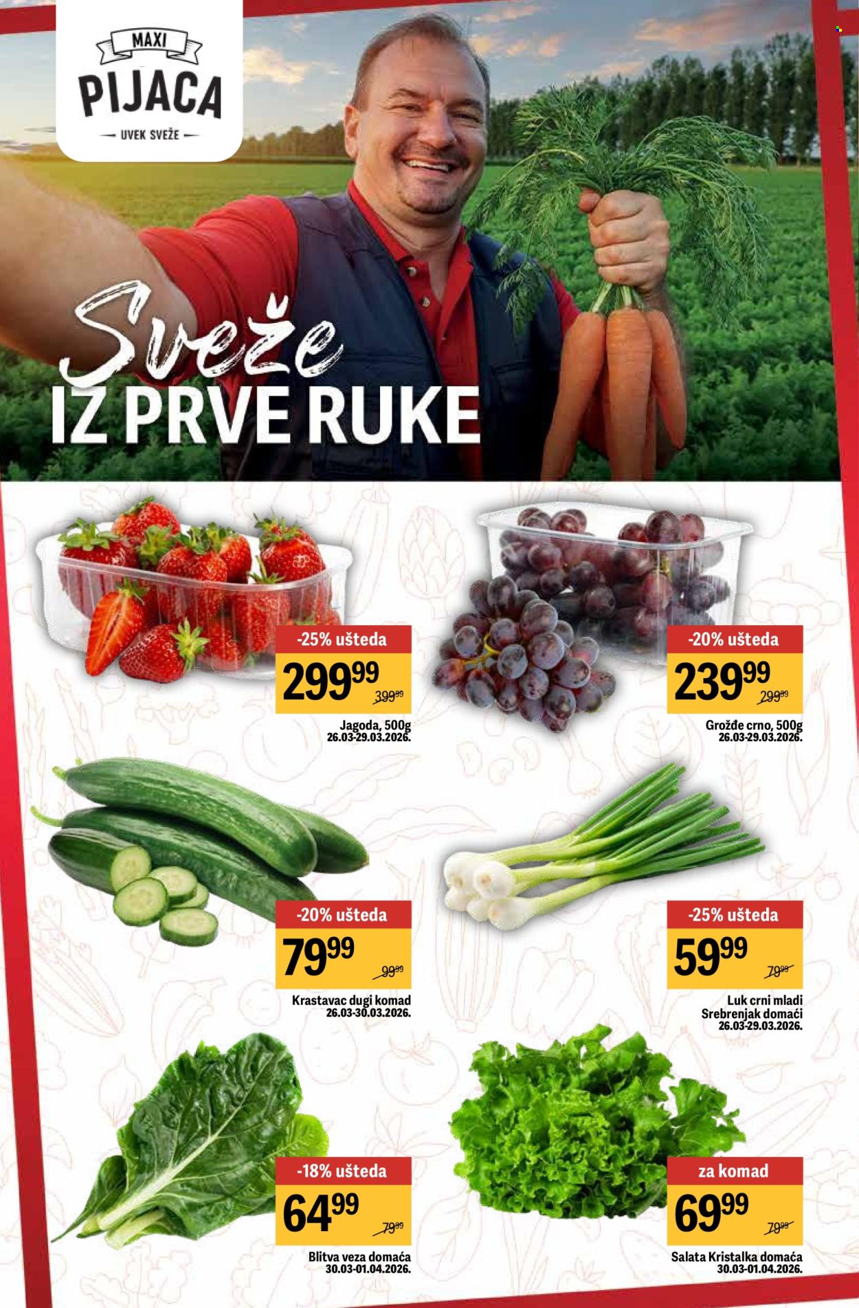 Maxi katalog - 26.03.2026 - 01.04.2026. Stranica 20