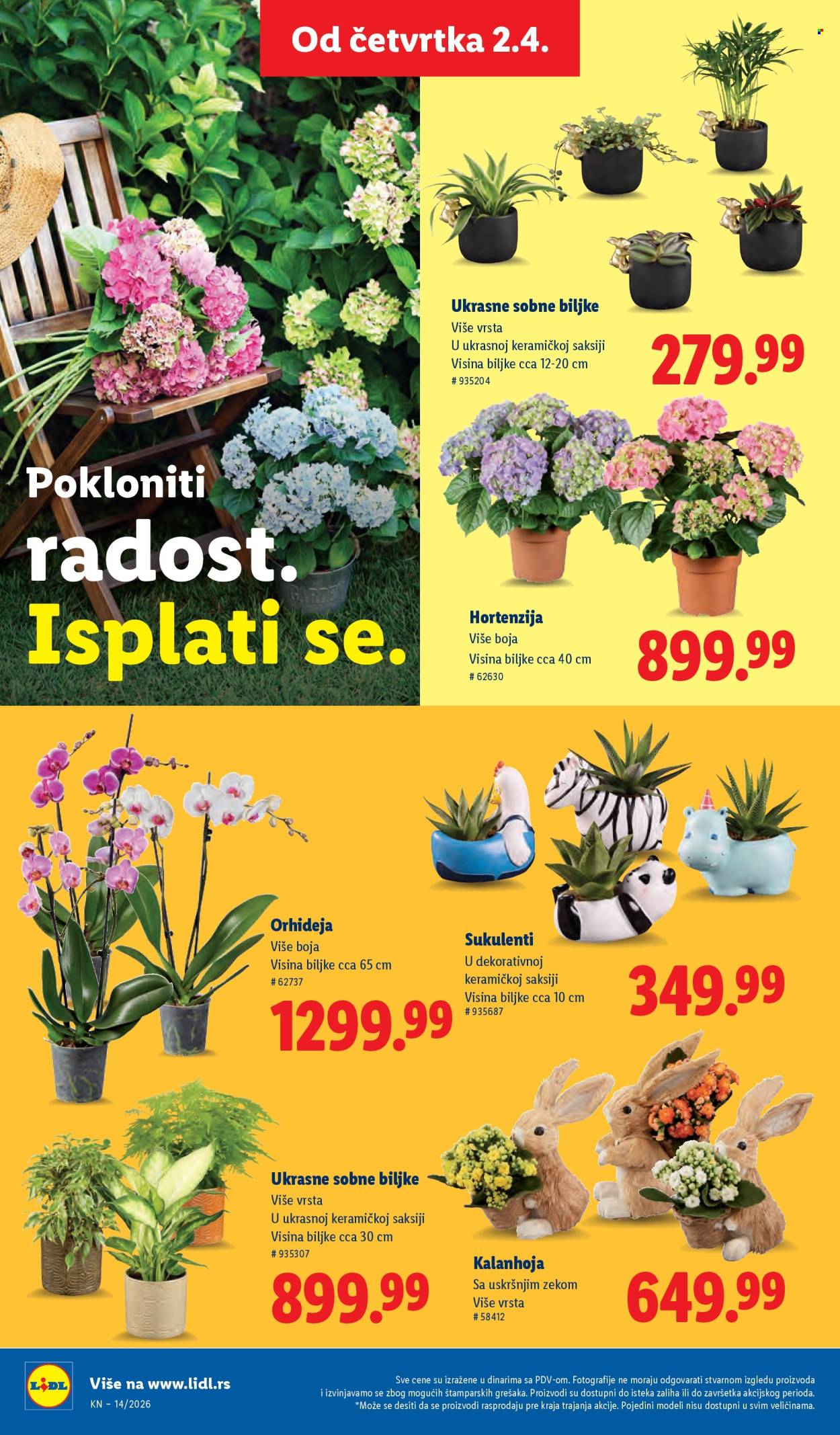 Lidl katalog - 02.04.2026 - 08.04.2026. Stranica 62