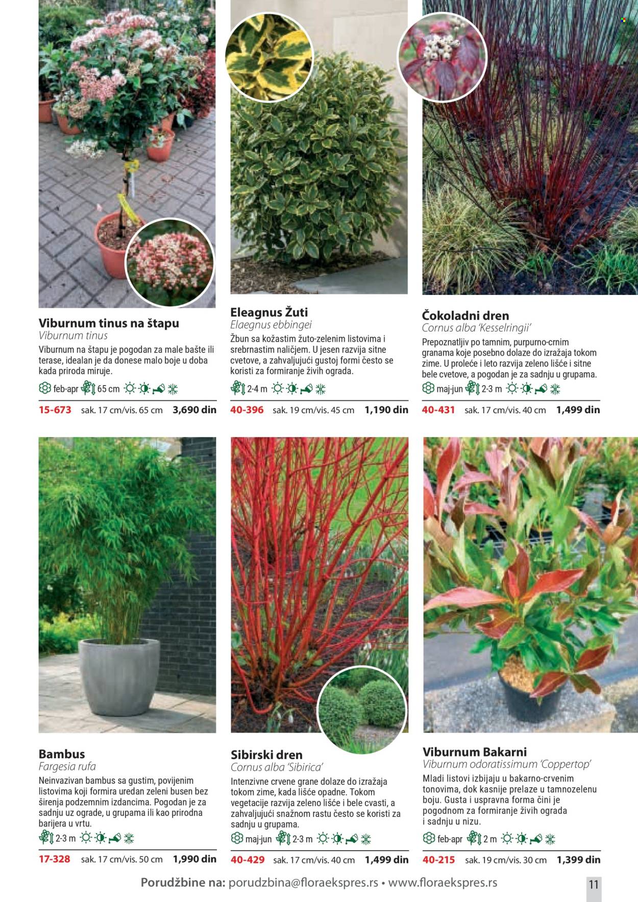 Flora Ekspres katalog. Stranica 11