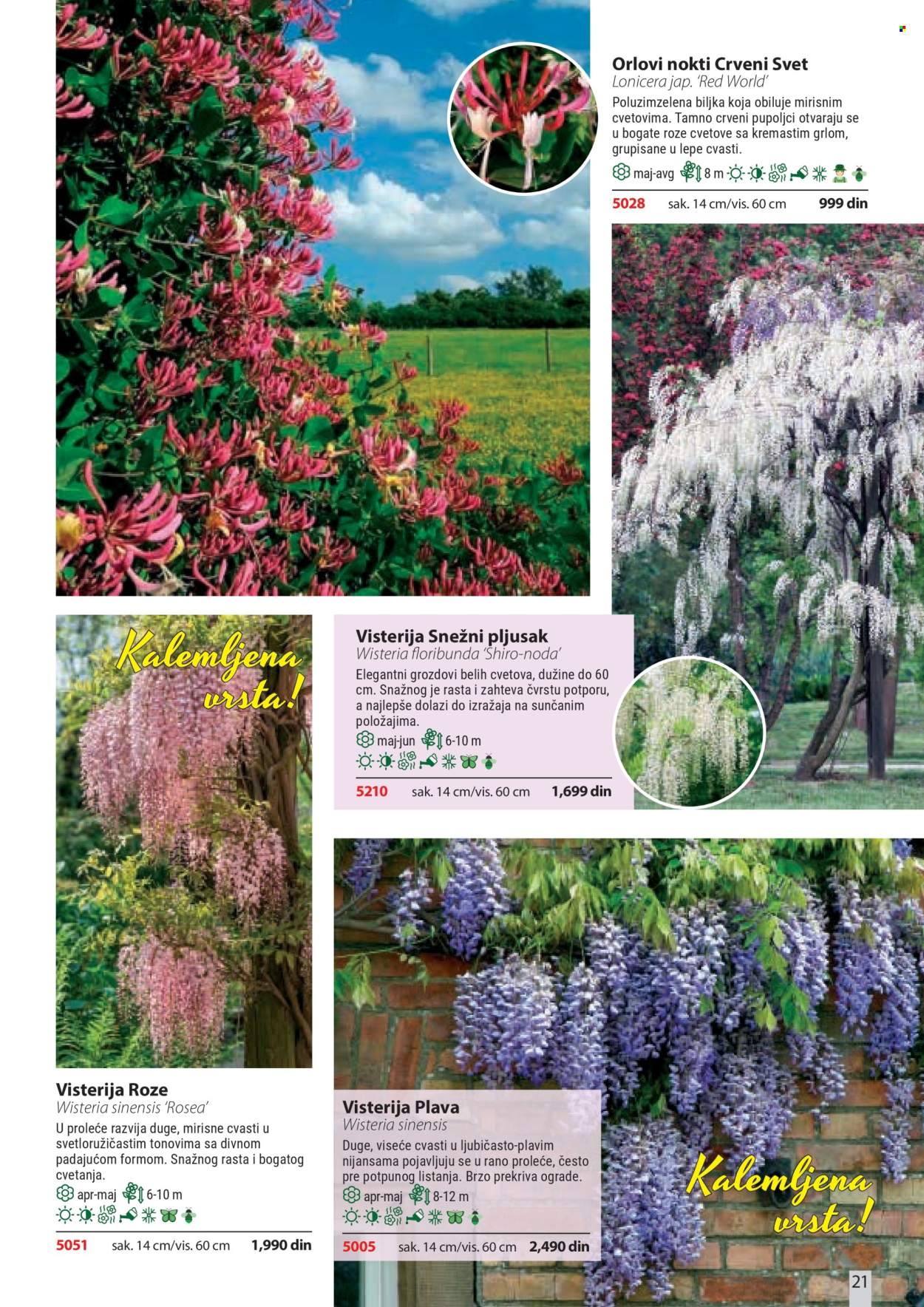 Flora Ekspres katalog. Stranica 21