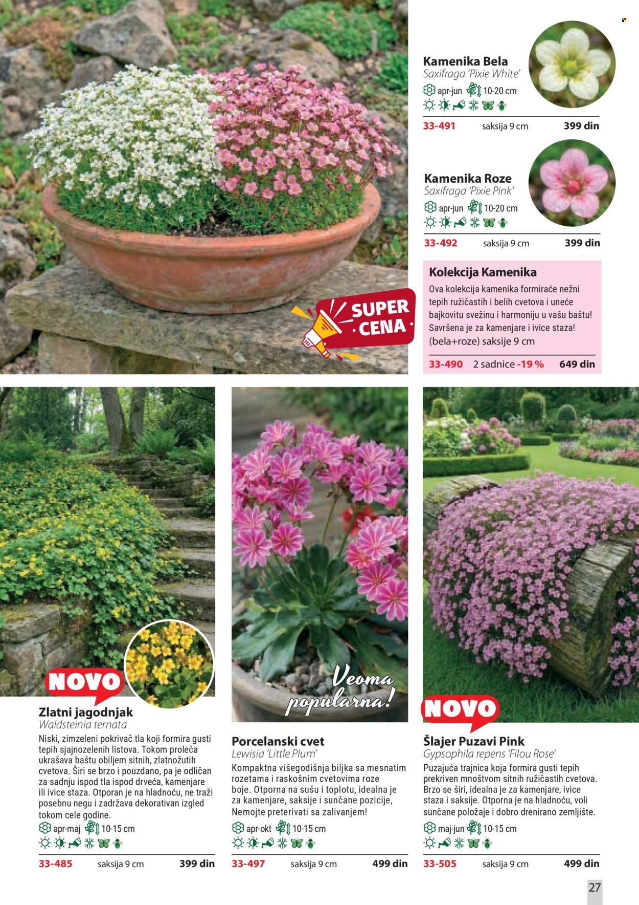 Flora Ekspres katalog. Stranica 27