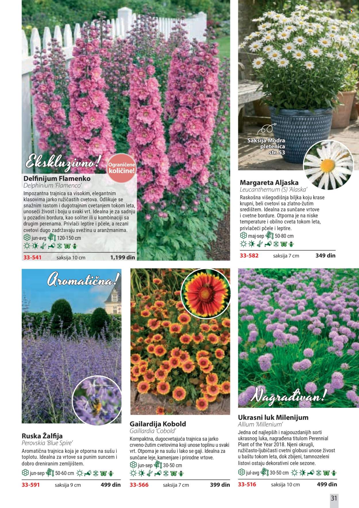 Flora Ekspres katalog. Stranica 31