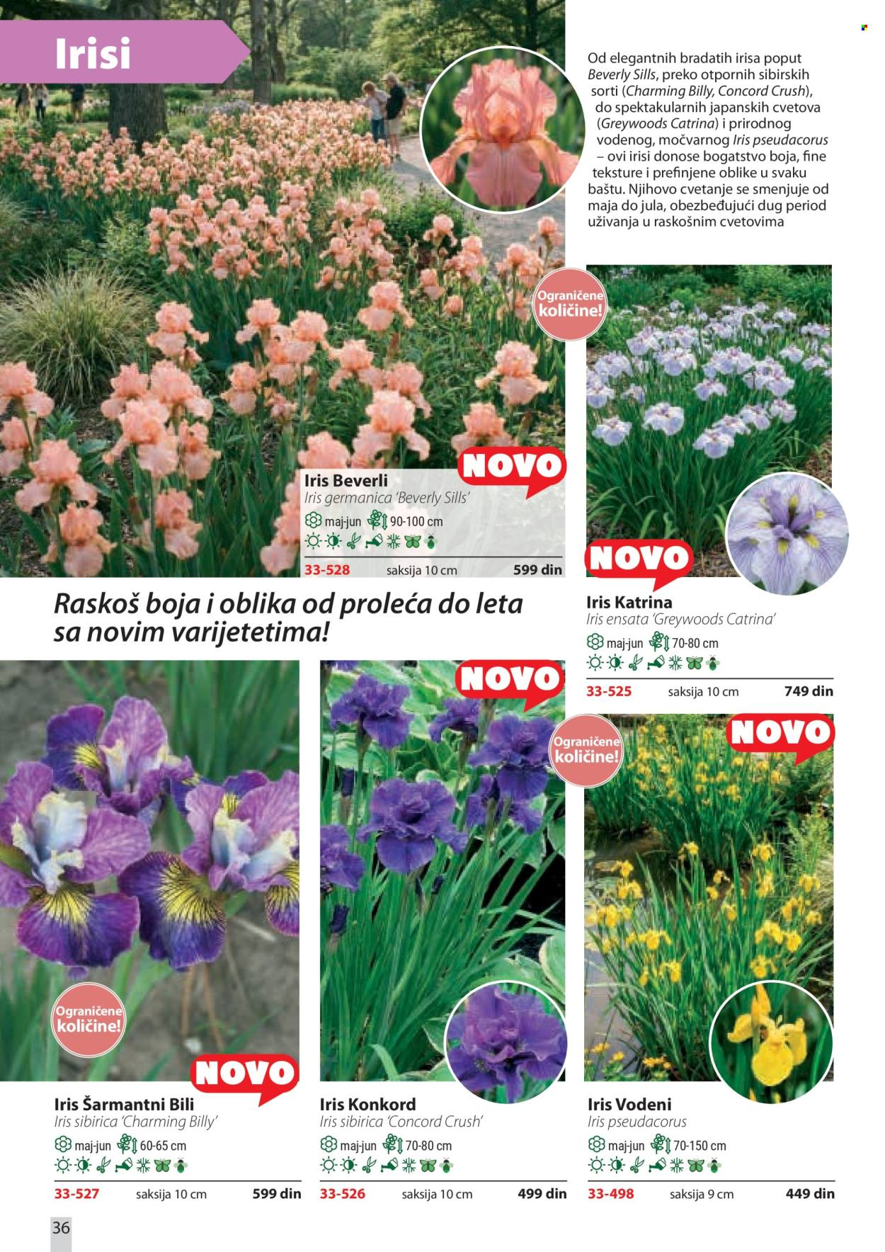Flora Ekspres katalog. Stranica 36