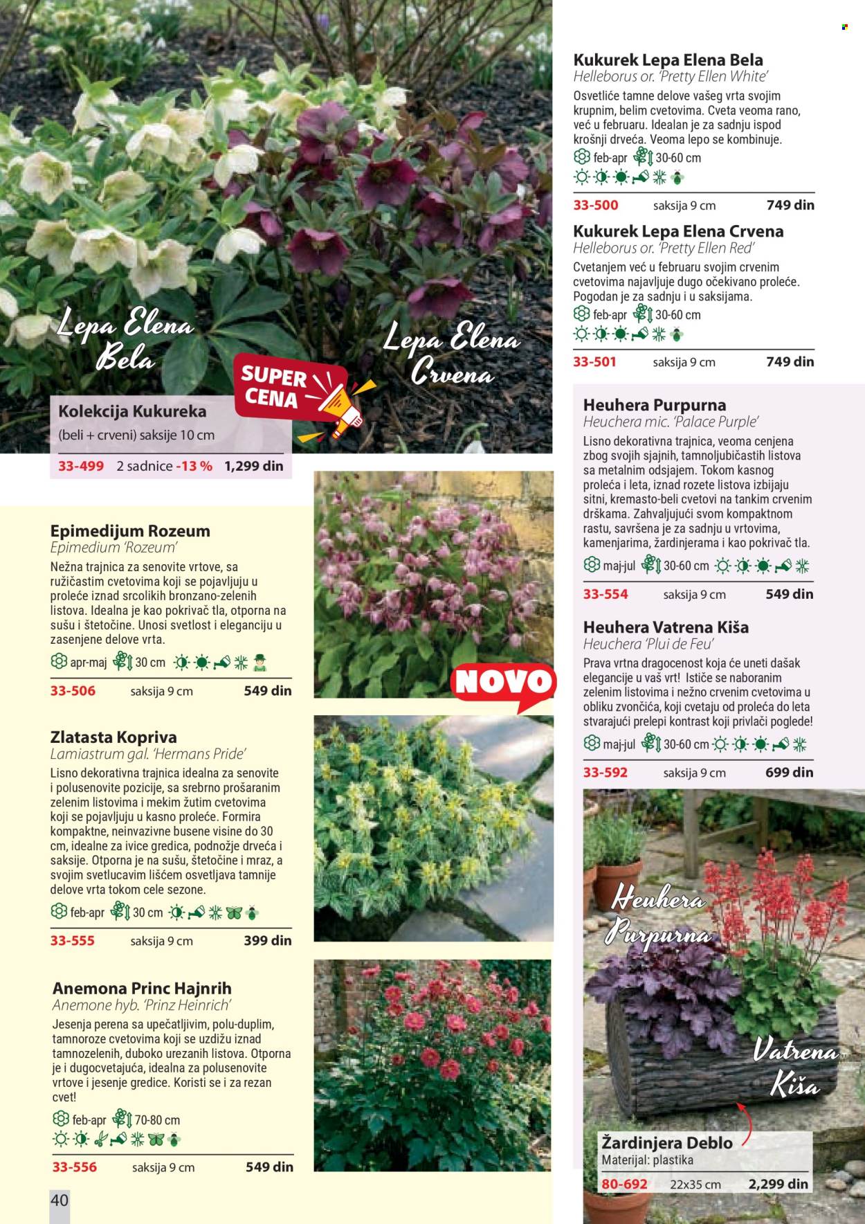 Flora Ekspres katalog. Stranica 40