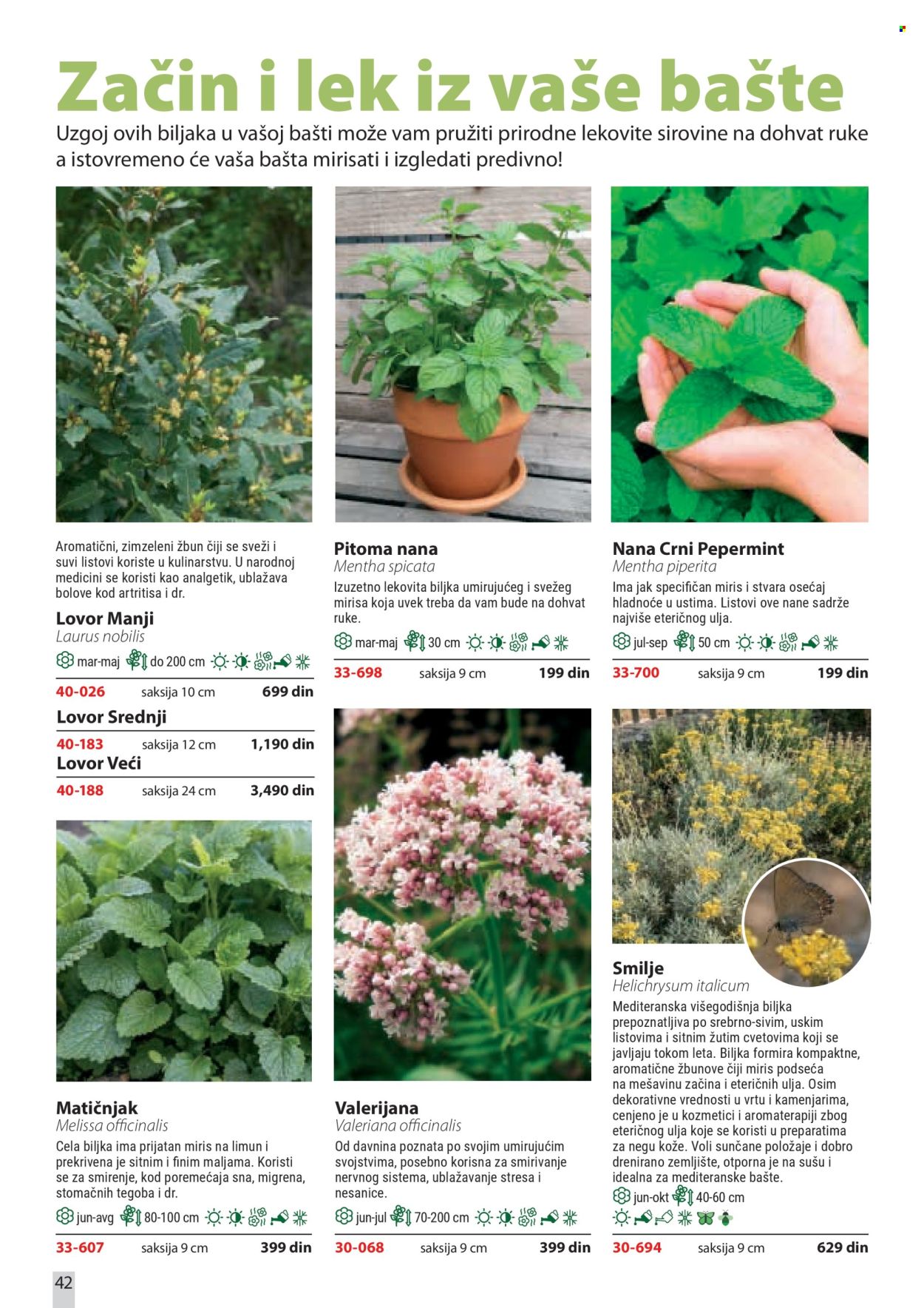 Flora Ekspres katalog. Stranica 42