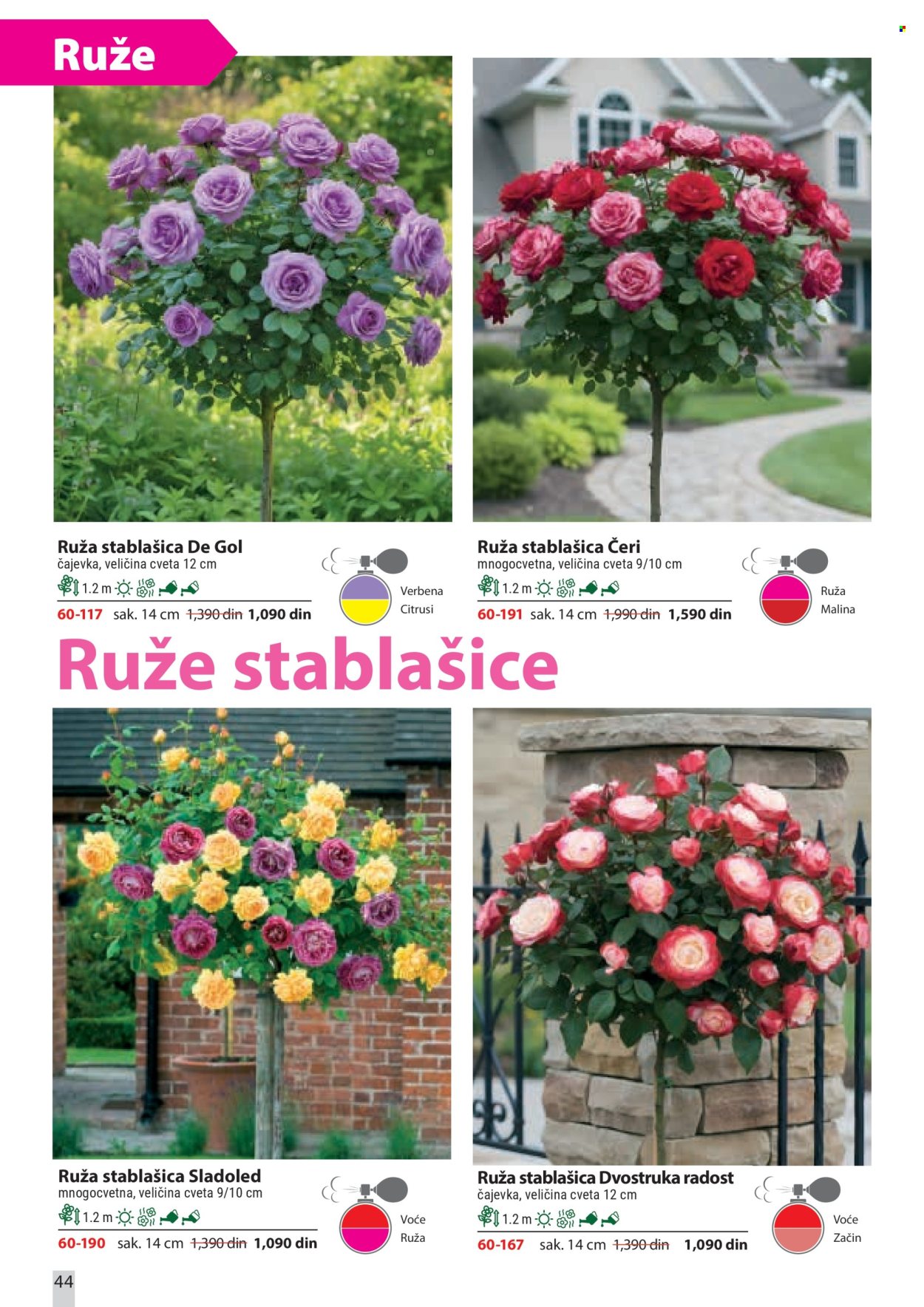 Flora Ekspres katalog. Stranica 44