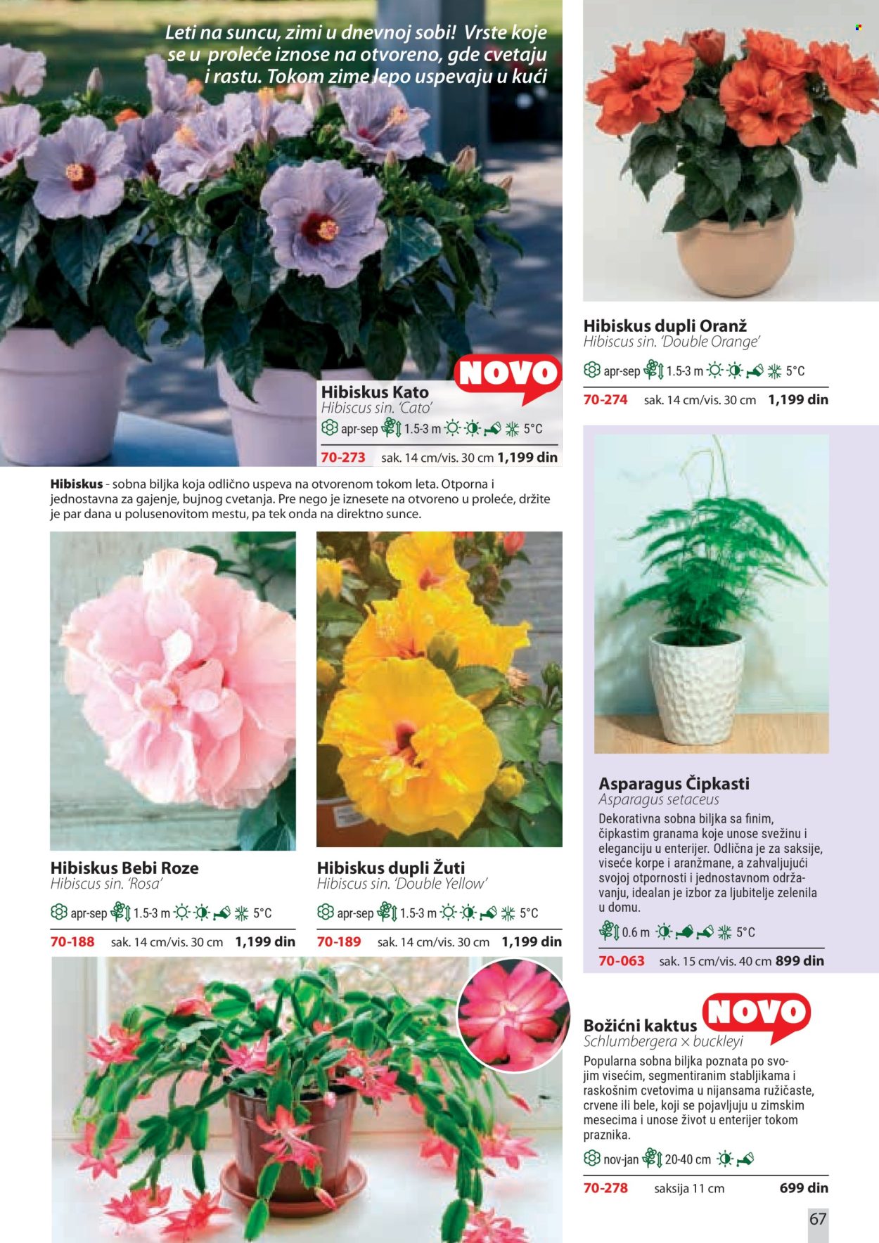 Flora Ekspres katalog. Stranica 67