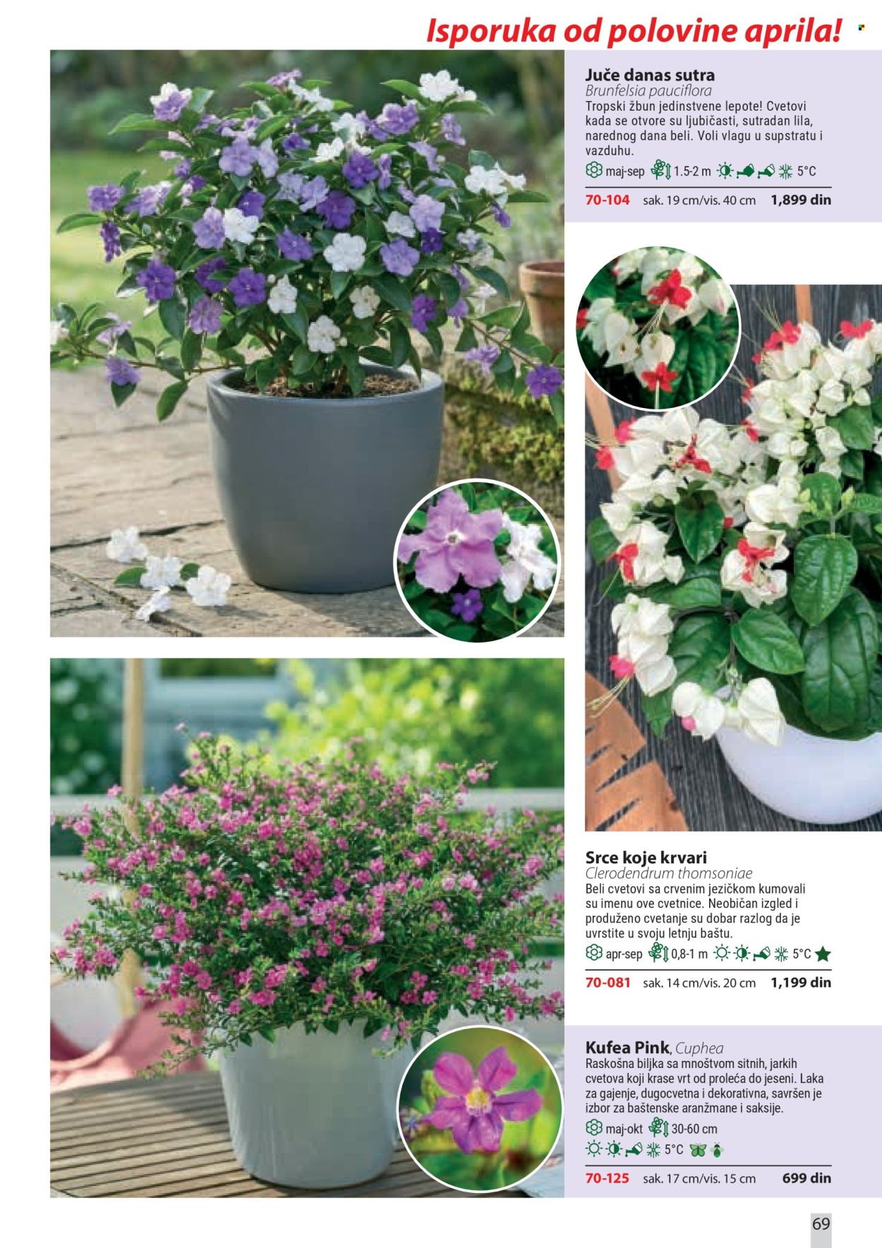 Flora Ekspres katalog. Stranica 69
