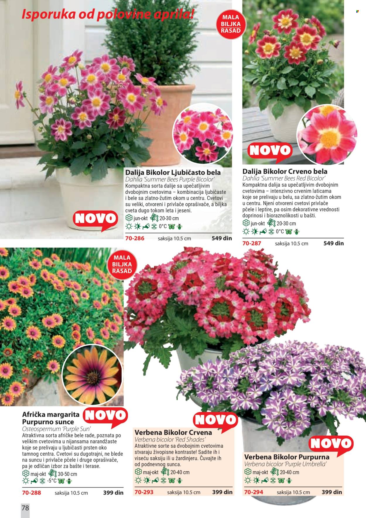 Flora Ekspres katalog. Stranica 78