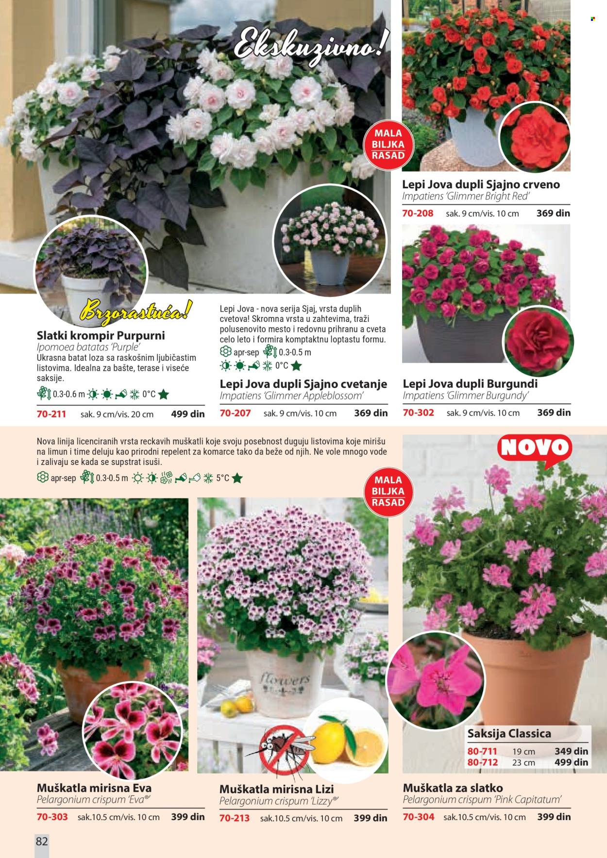 Flora Ekspres katalog. Stranica 82