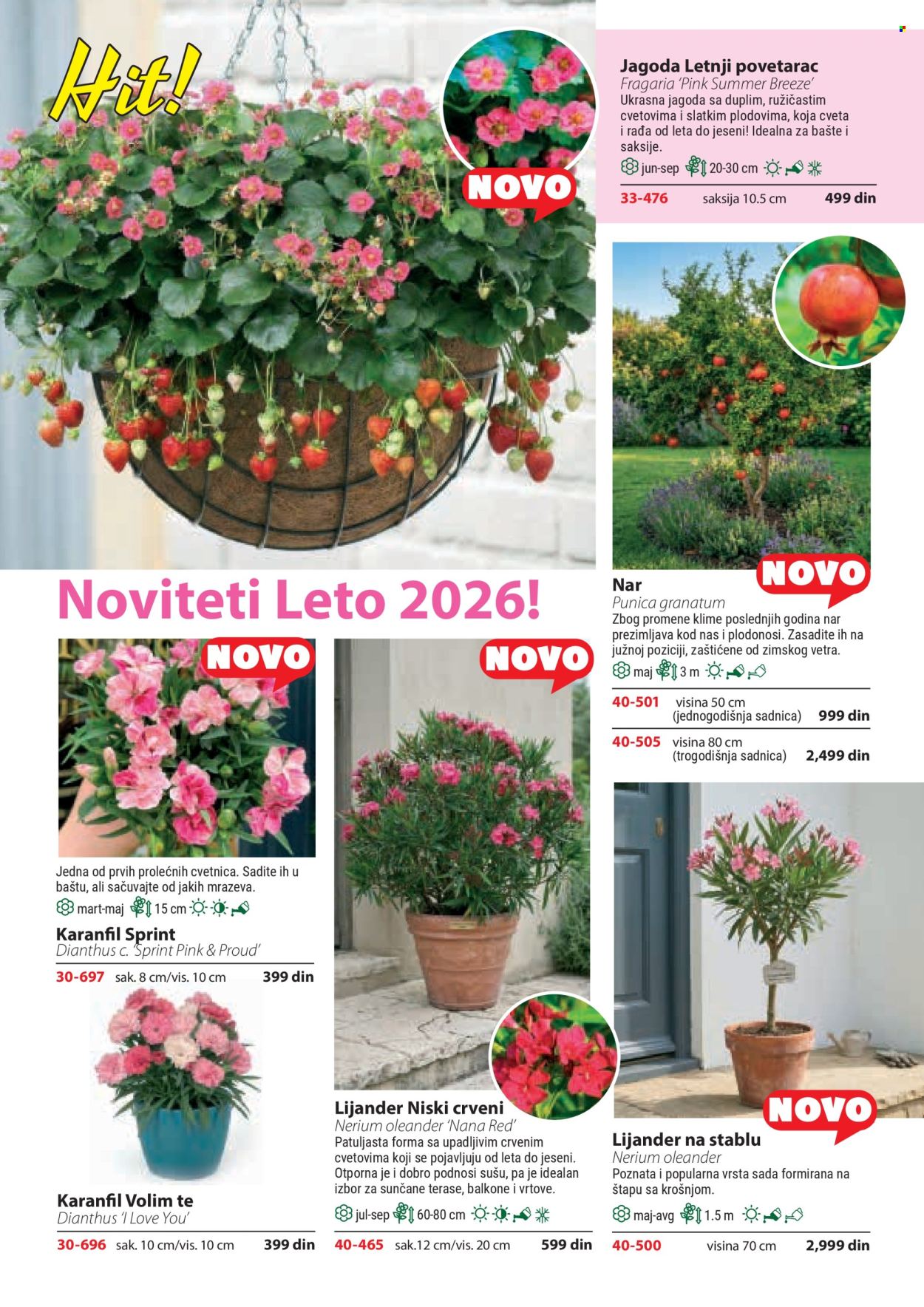Flora Ekspres katalog. Stranica 84