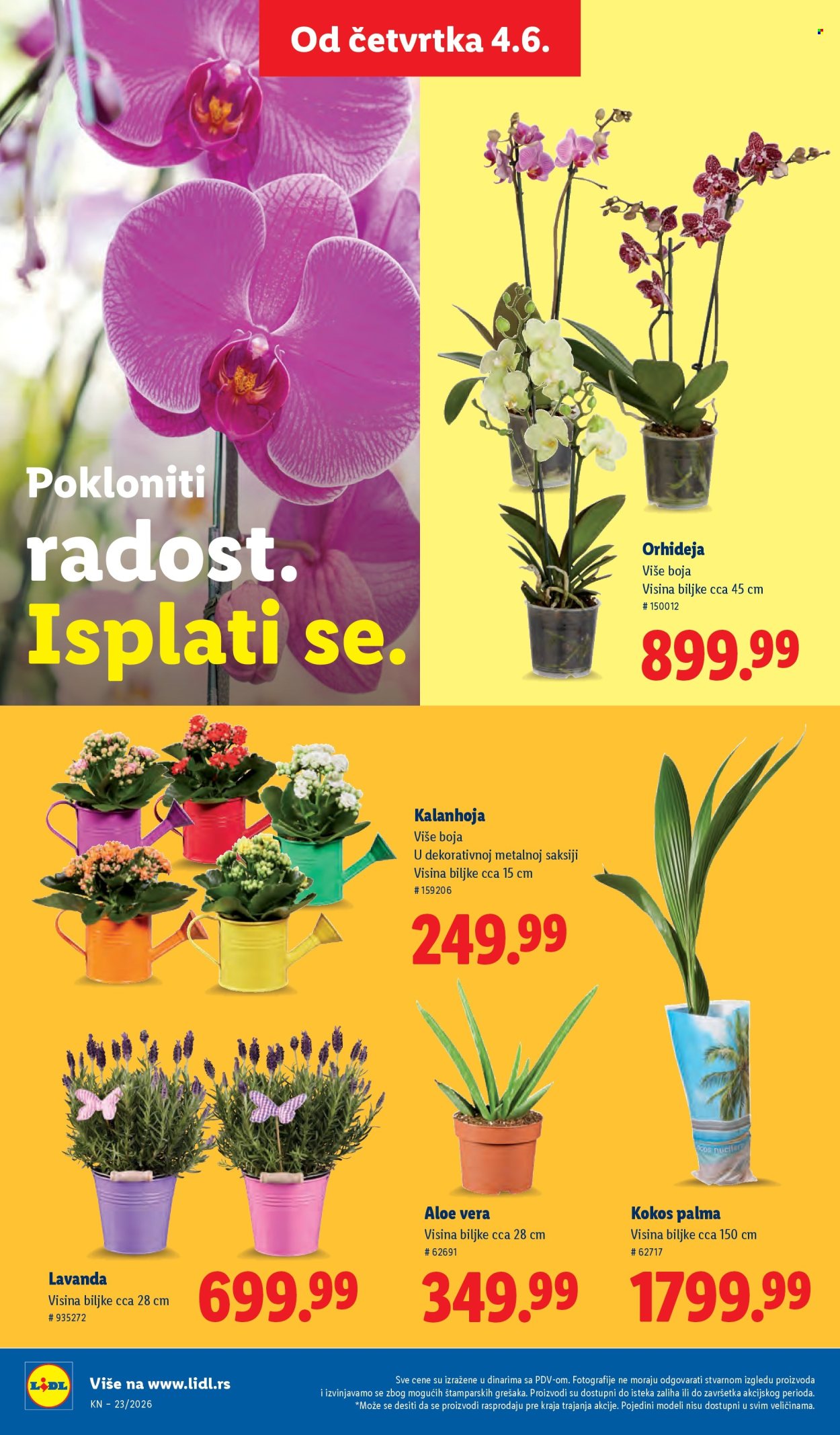 Lidl katalog - 04.06.2026 - 10.06.2026. Stranica 70