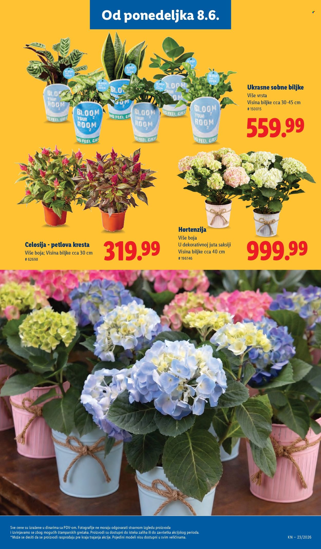 Lidl katalog - 04.06.2026 - 10.06.2026. Stranica 71