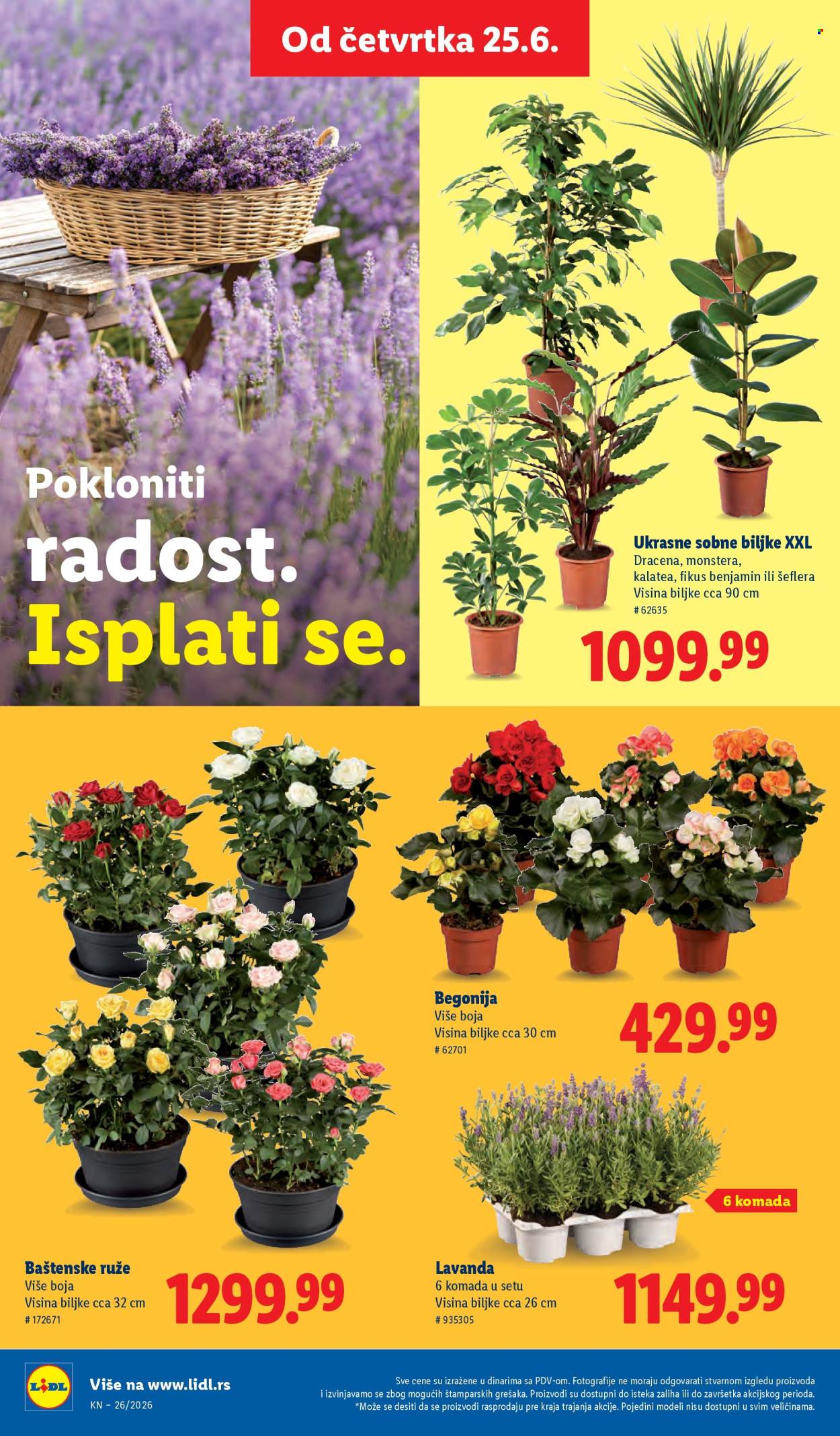 Lidl katalog - 25.06.2026 - 01.07.2026. Stranica 74