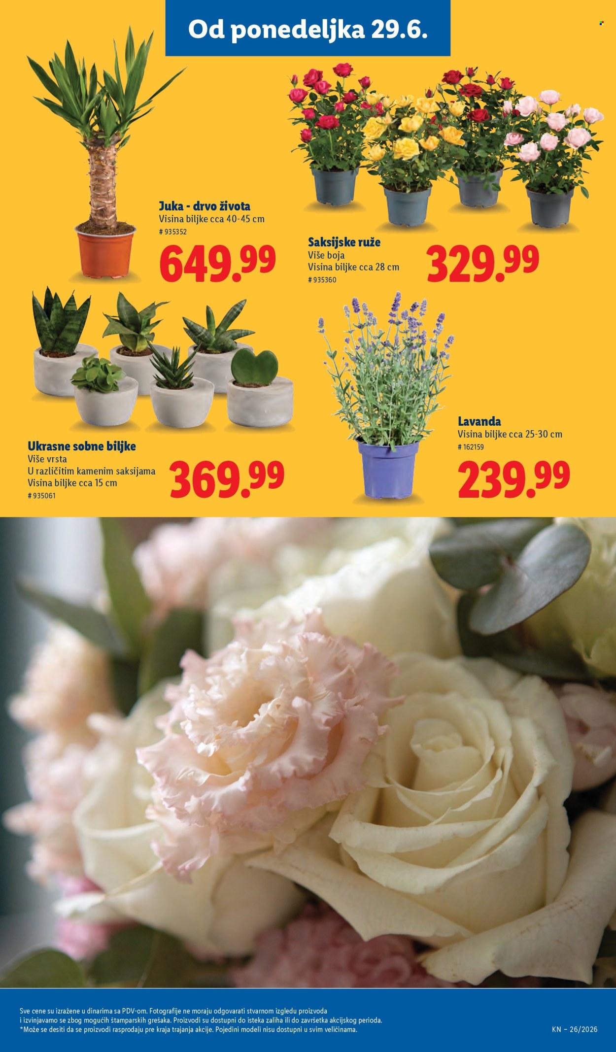 Lidl katalog - 25.06.2026 - 01.07.2026. Stranica 75