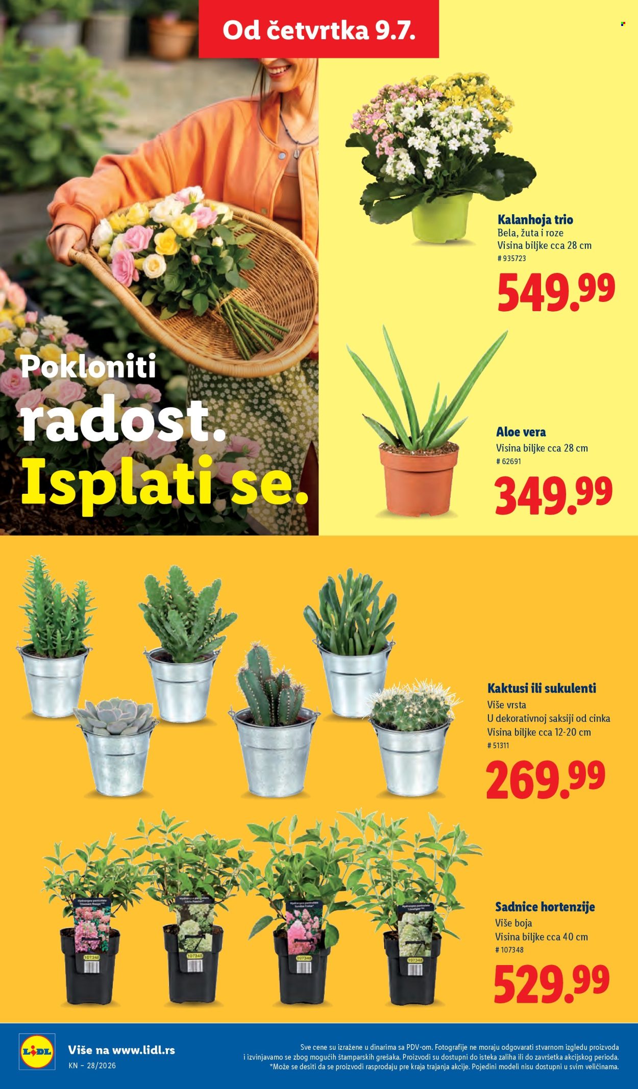 Lidl katalog - 09.07.2026 - 15.07.2026. Stranica 62