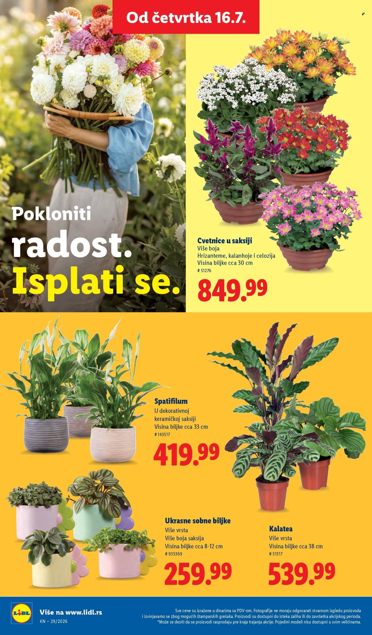 Lidl katalog - 16.07.2026 - 22.07.2026. Stranica 76