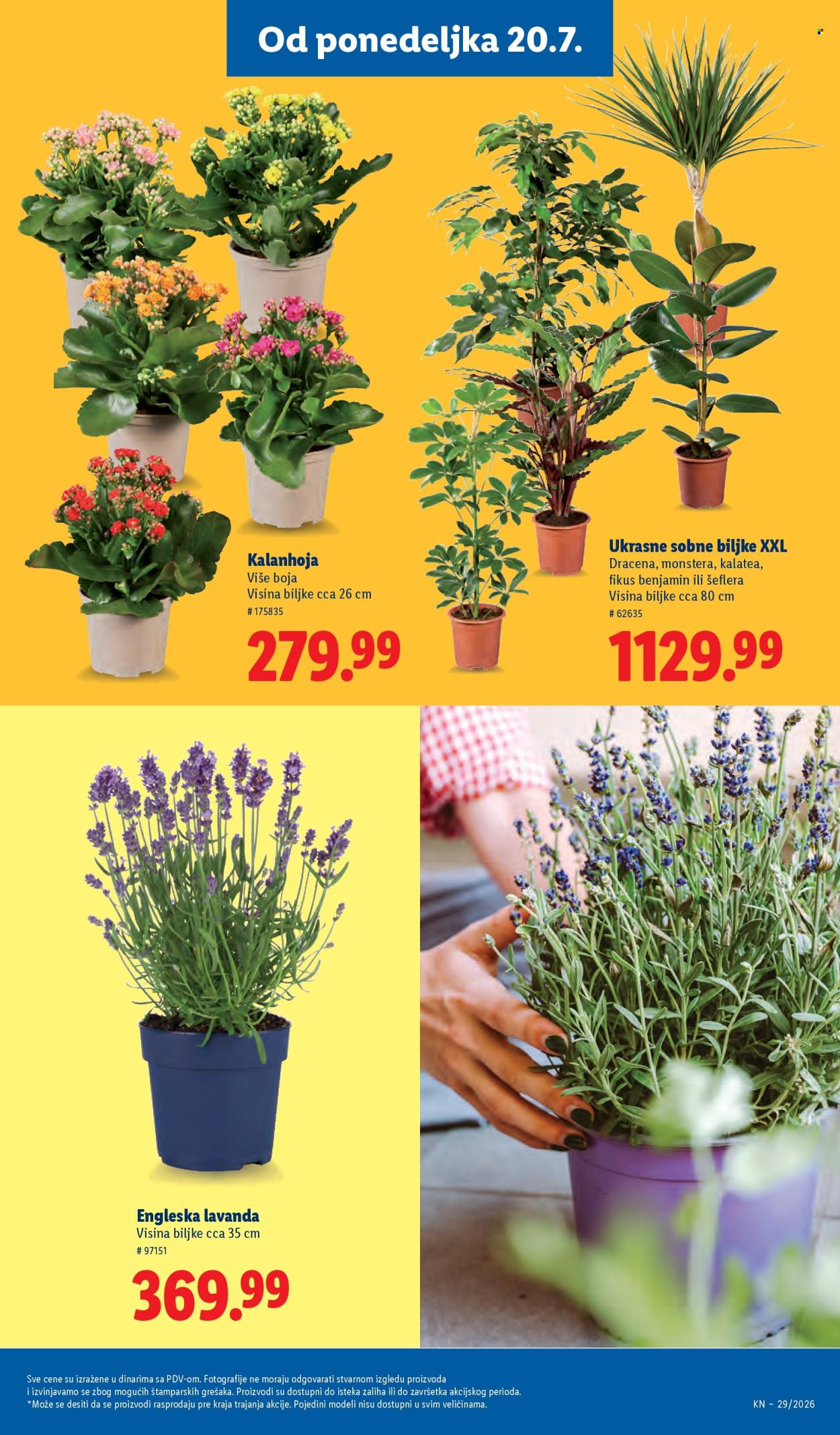 Lidl katalog - 16.07.2026 - 22.07.2026. Stranica 77