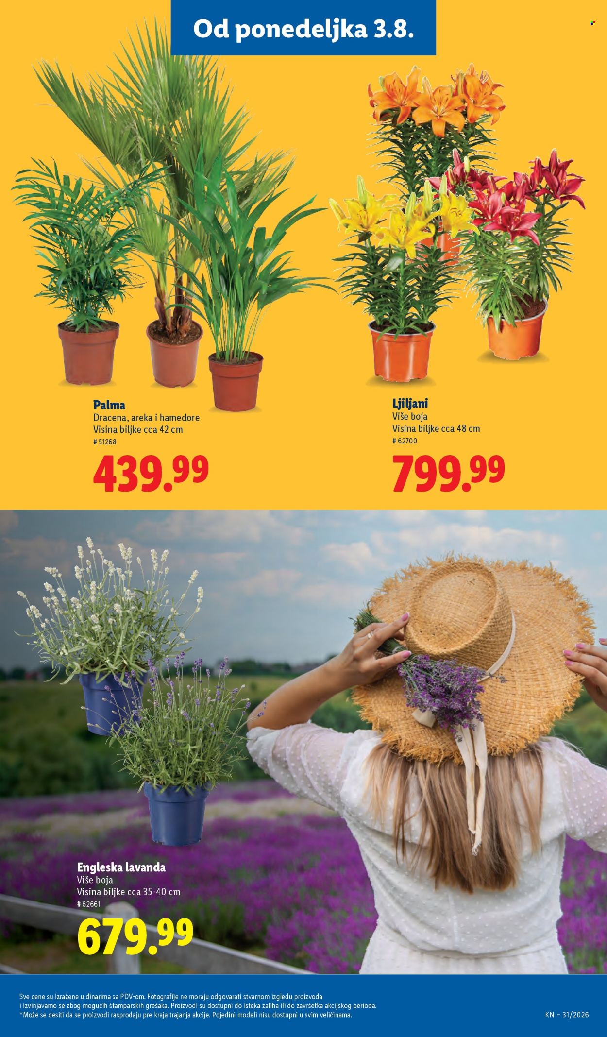 Lidl katalog - 30.07.2026 - 05.08.2026. Stranica 71