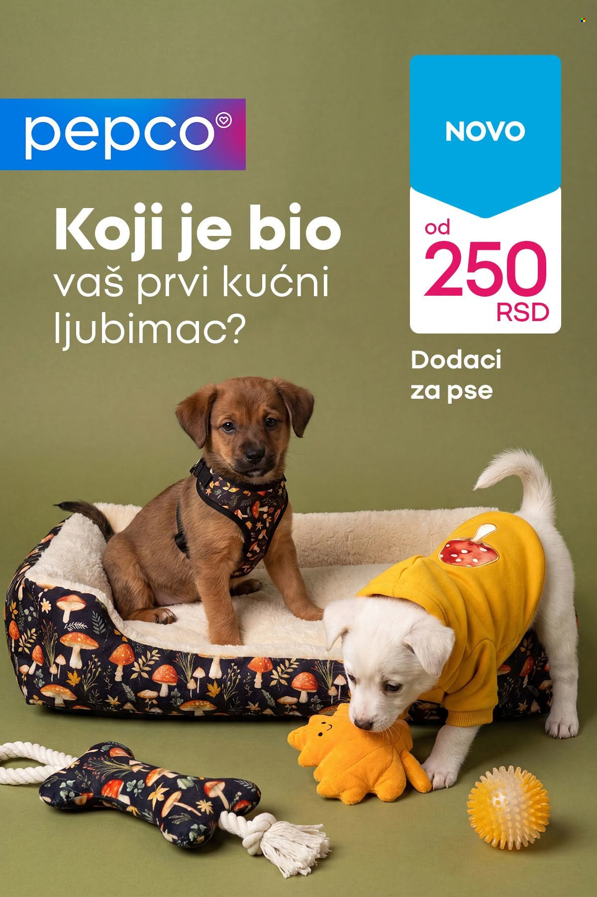 Pepco katalog. Stranica 1