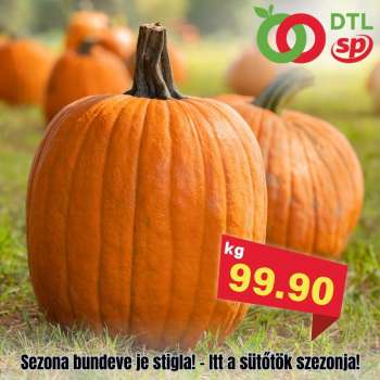 Senta Promet katalog.