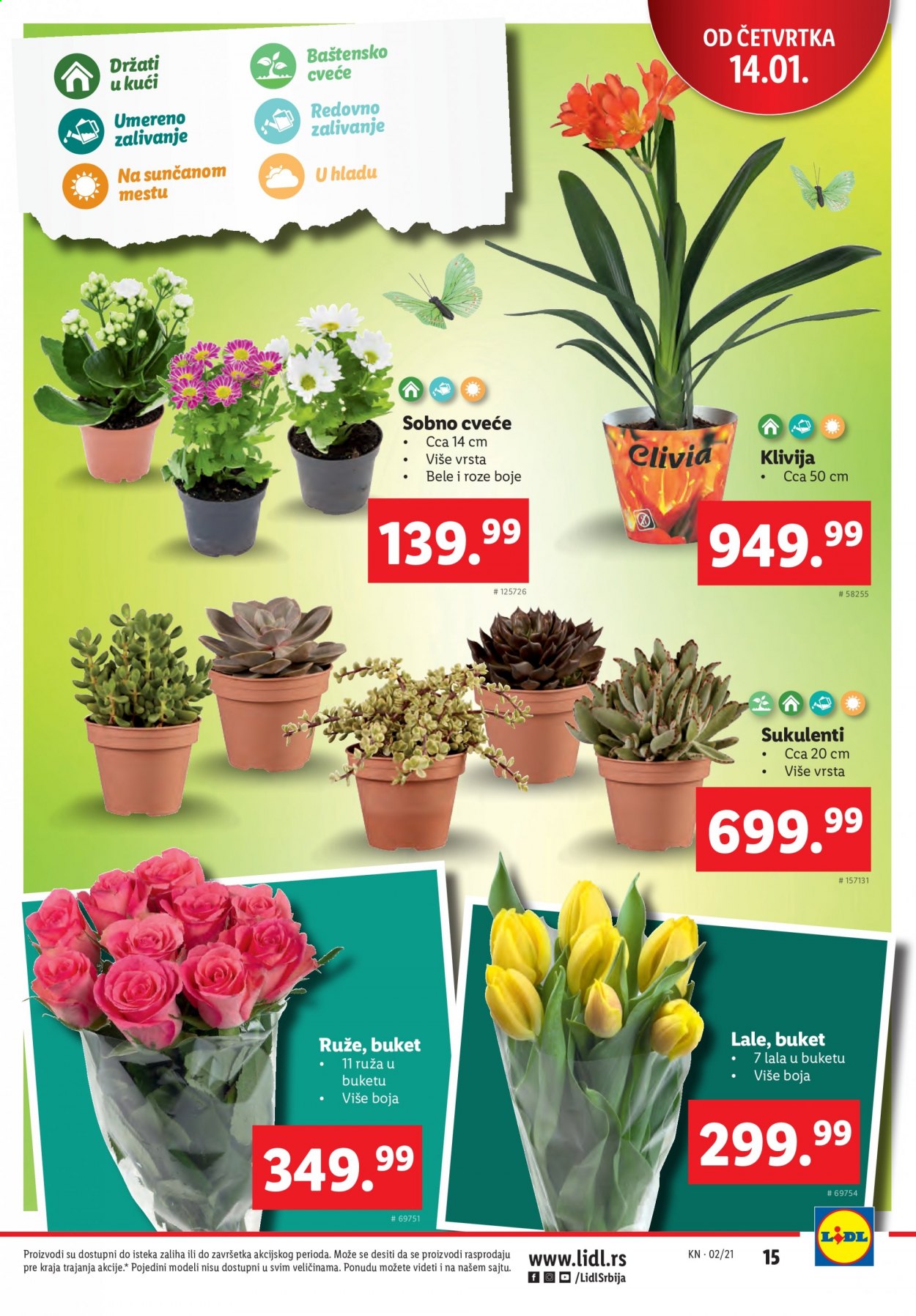 Lidl katalog - 14.01.2021 - 20.01.2021. Stranica 15