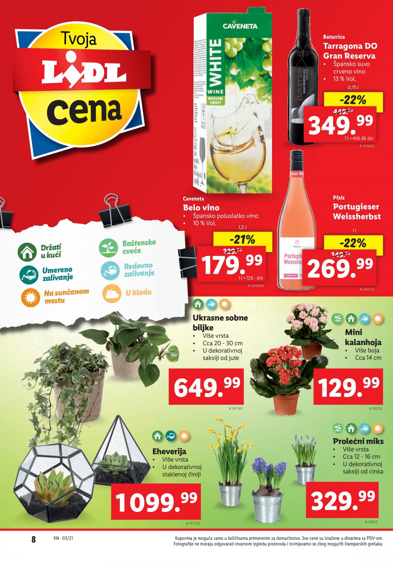Lidl katalog - 21.01.2021 - 27.01.2021. Stranica 8