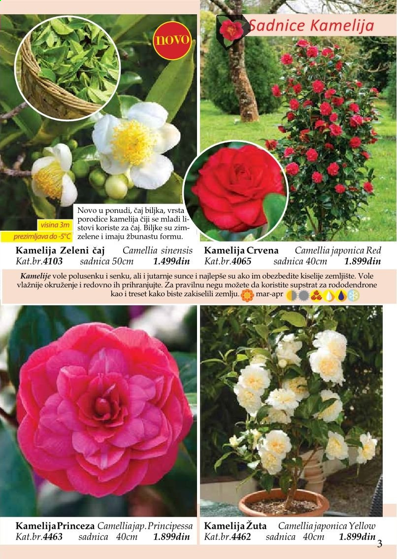 Flora Ekspres katalog. Stranica 3