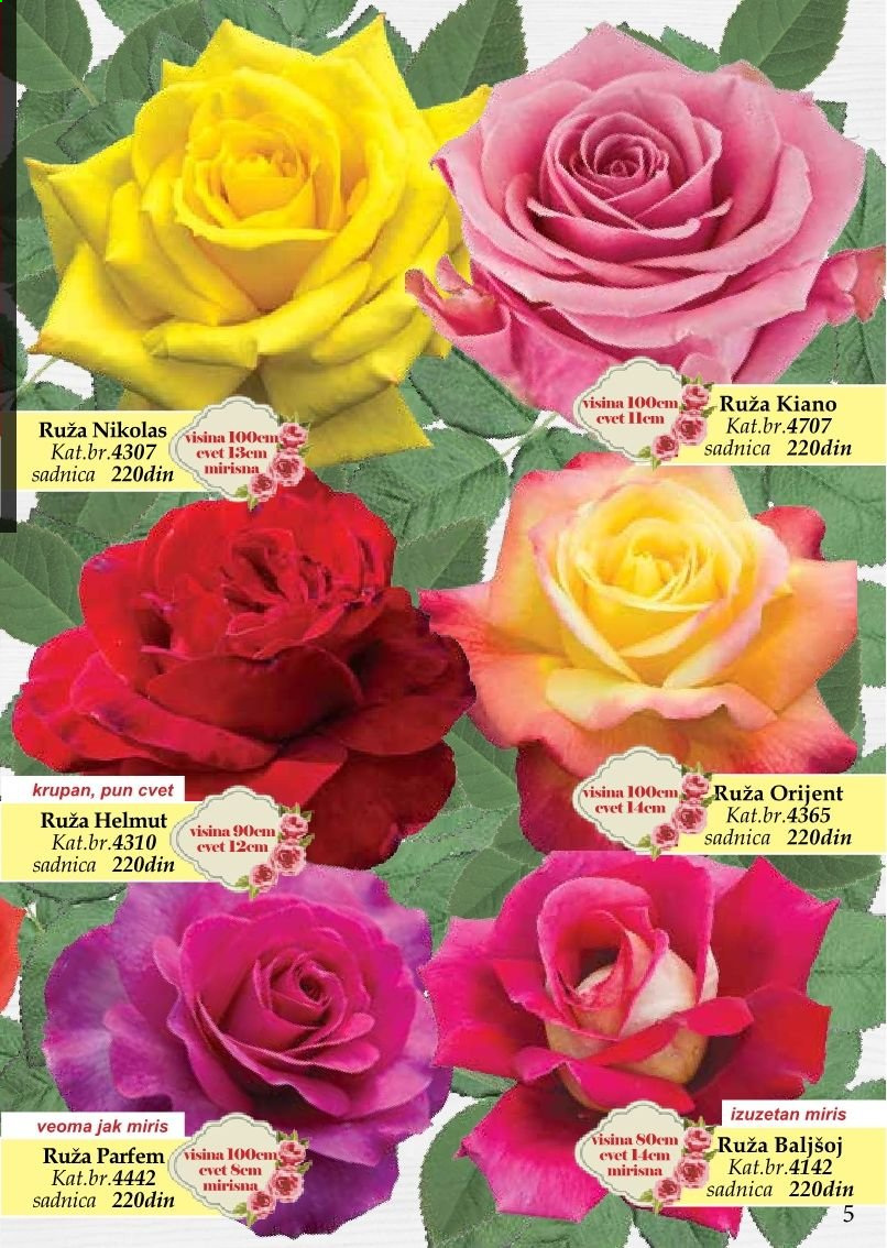 Flora Ekspres katalog. Stranica 5