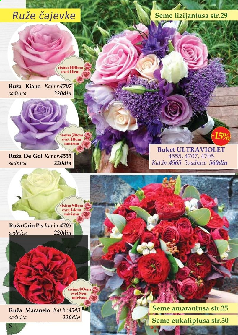 Flora Ekspres katalog. Stranica 6