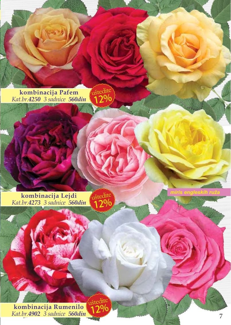 Flora Ekspres katalog. Stranica 7