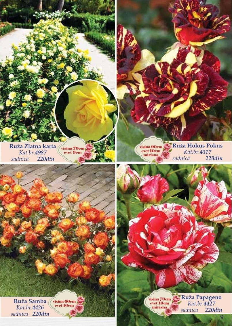 Flora Ekspres katalog. Stranica 9