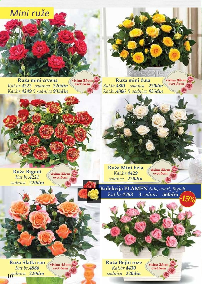Flora Ekspres katalog. Stranica 10