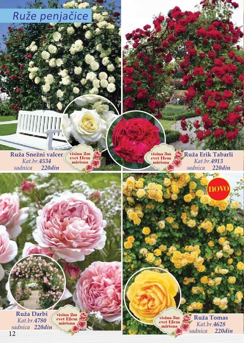 Flora Ekspres katalog. Stranica 12