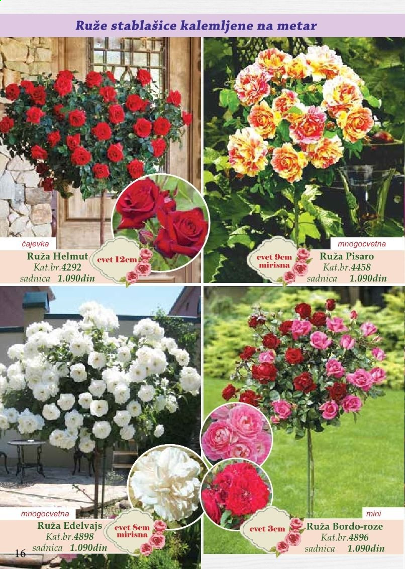 Flora Ekspres katalog. Stranica 16