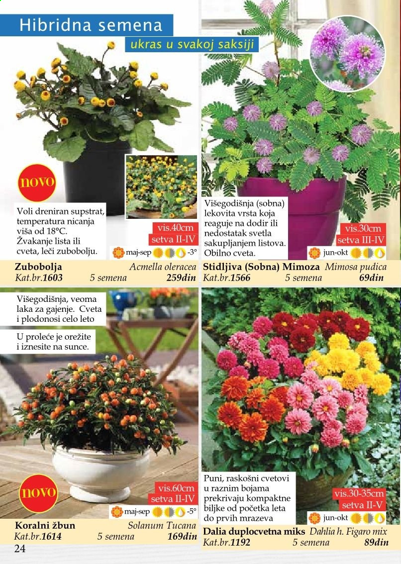 Flora Ekspres katalog. Stranica 24