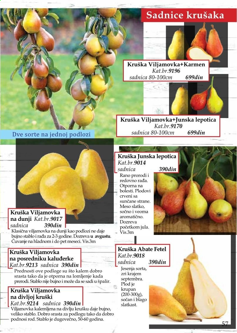 Flora Ekspres katalog. Stranica 57