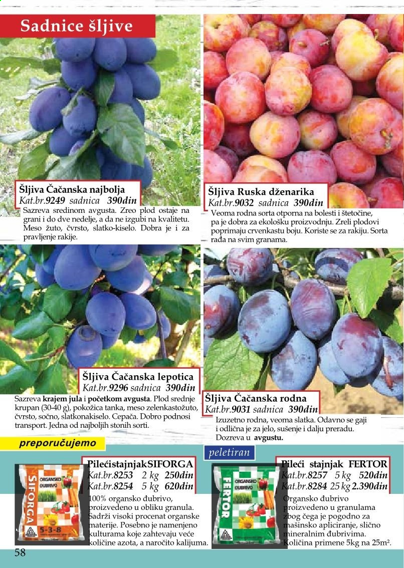 Flora Ekspres katalog. Stranica 58