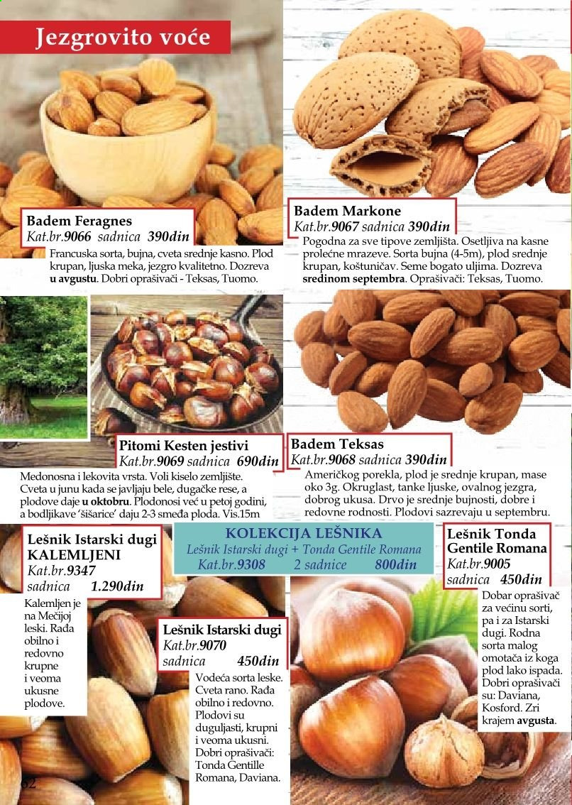 Flora Ekspres katalog. Stranica 62