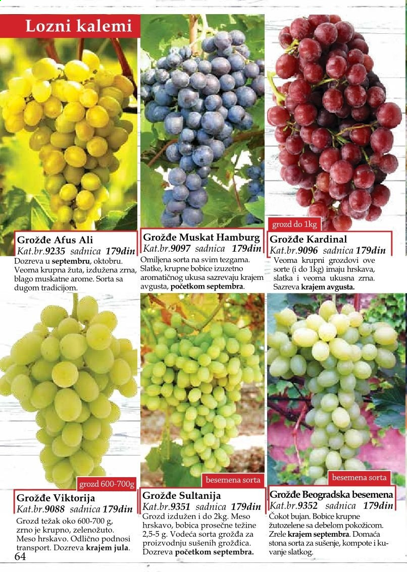Flora Ekspres katalog. Stranica 64