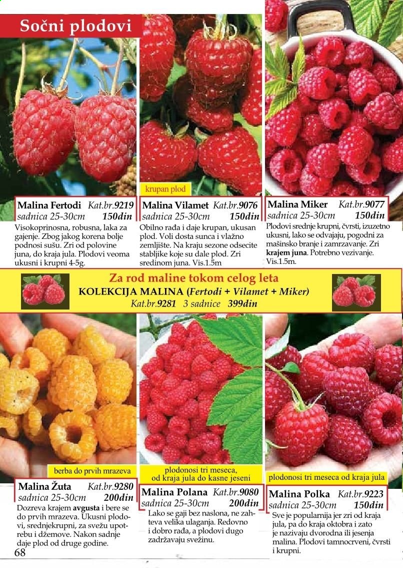 Flora Ekspres katalog. Stranica 68