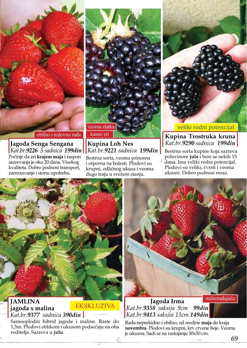 Flora Ekspres katalog. Stranica 69