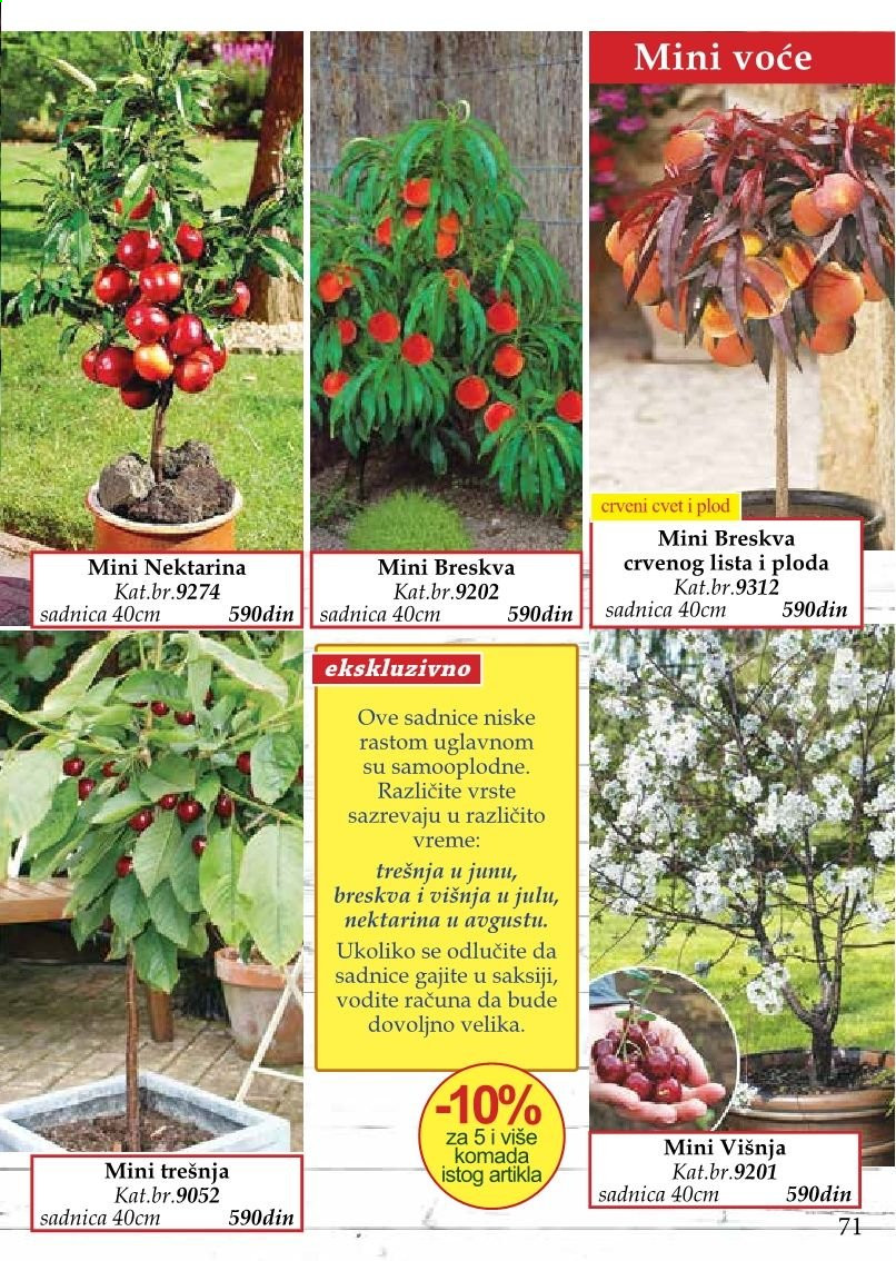 Flora Ekspres katalog. Stranica 71