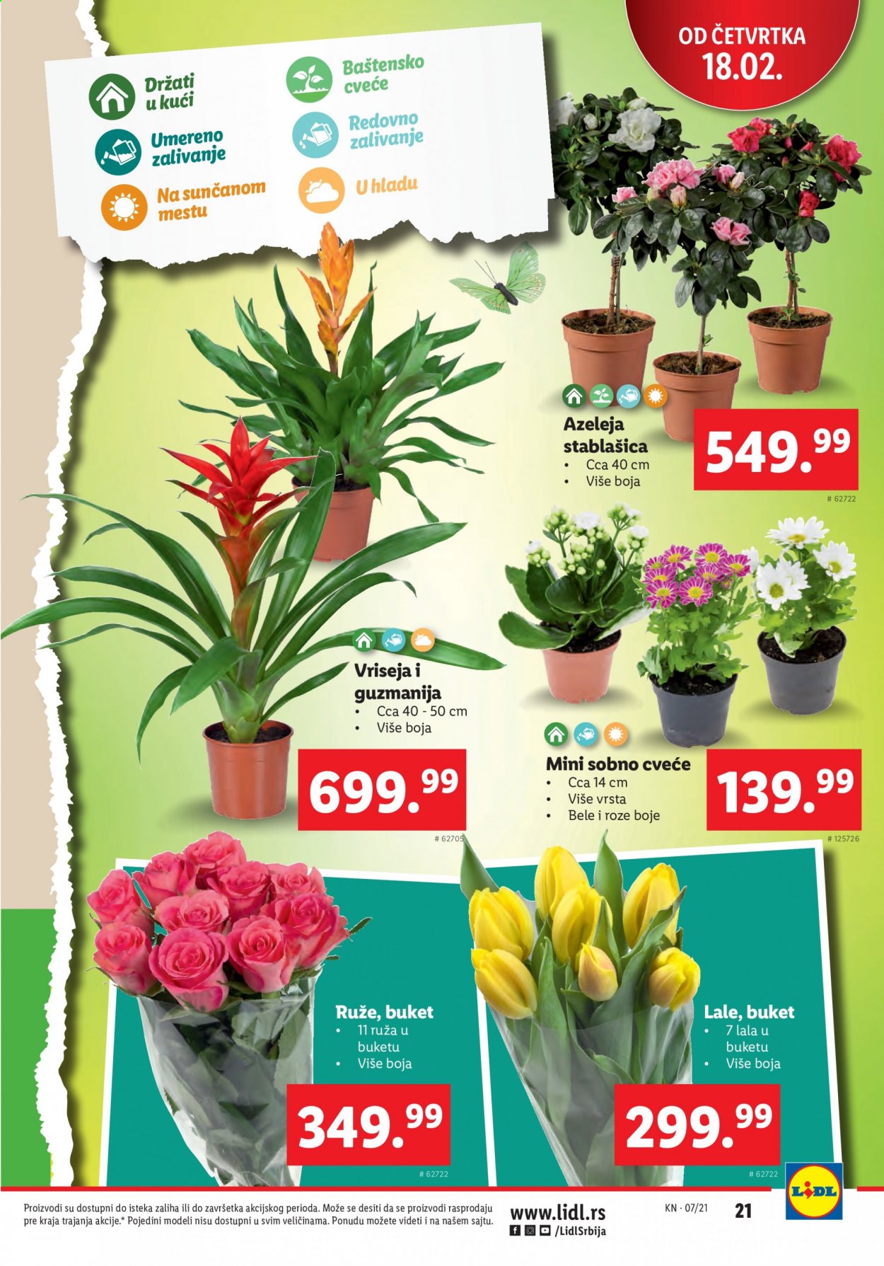 Lidl katalog - 18.02.2021 - 24.02.2021. Stranica 21