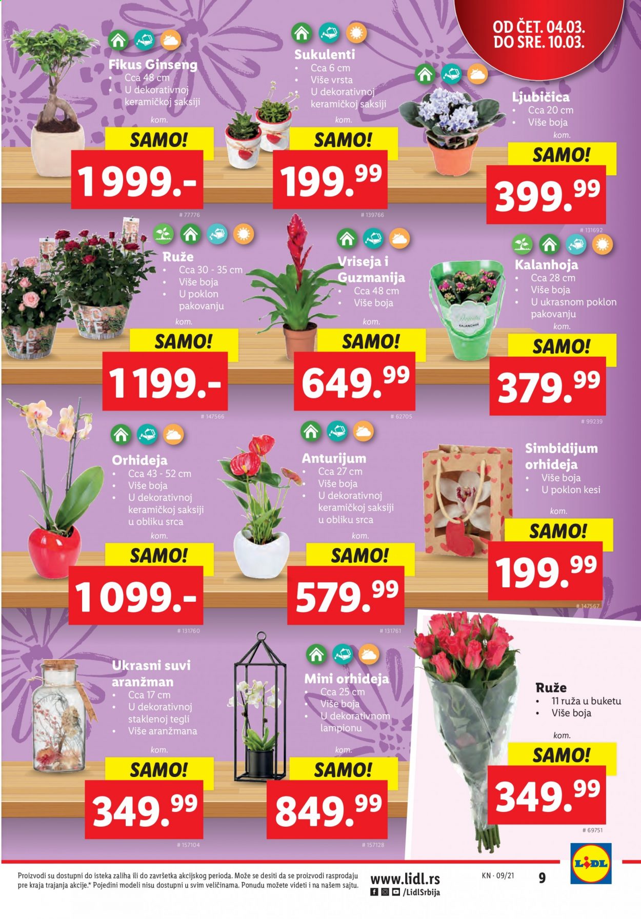 Lidl katalog - 04.03.2021 - 10.03.2021. Stranica 9