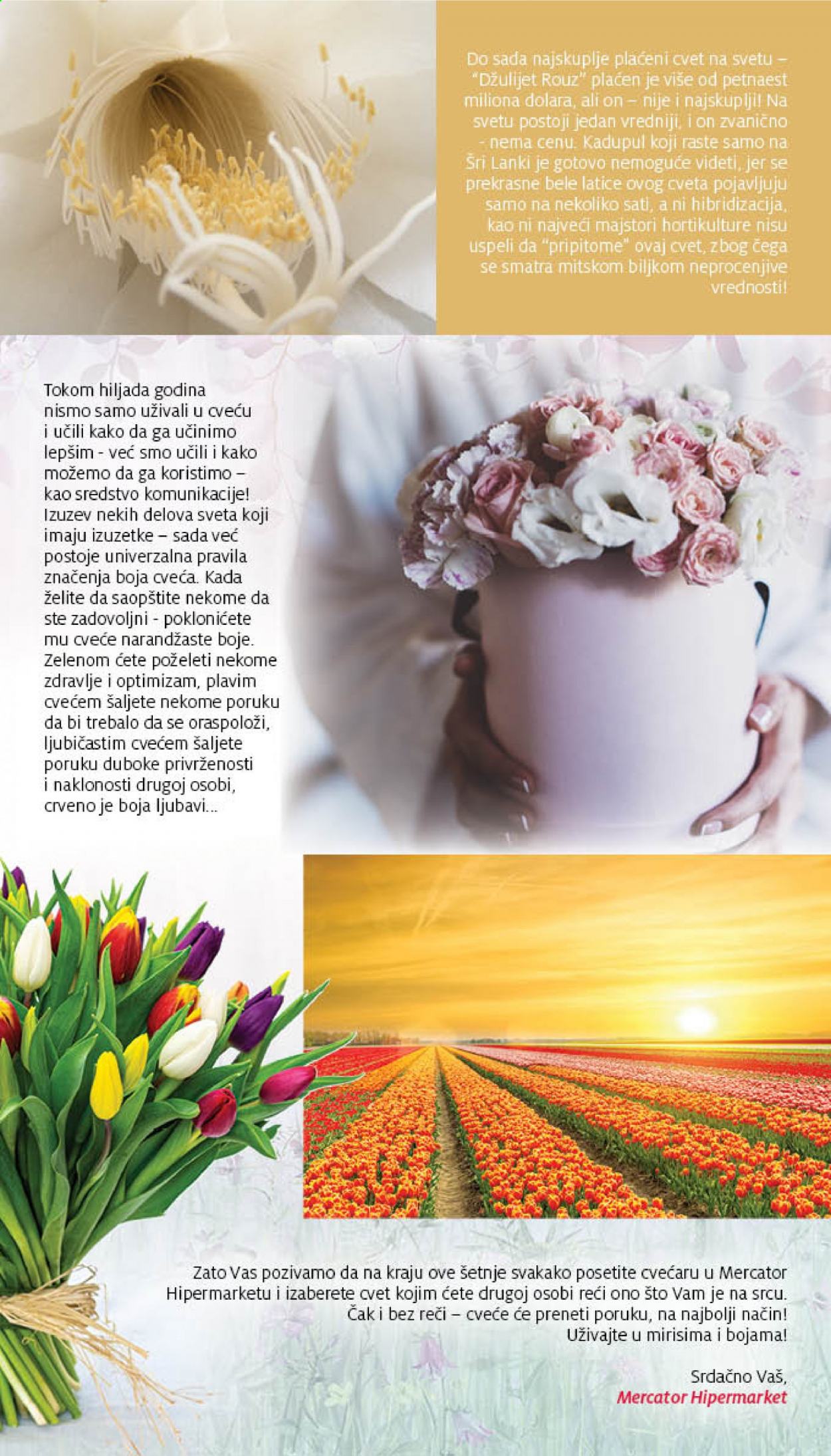 Mercator Centar katalog - 18.03.2021 - 31.03.2021. Stranica 3