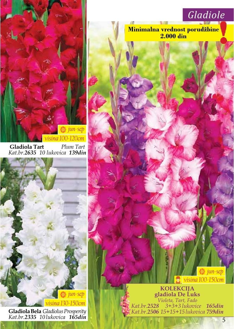 Flora Ekspres katalog. Stranica 5