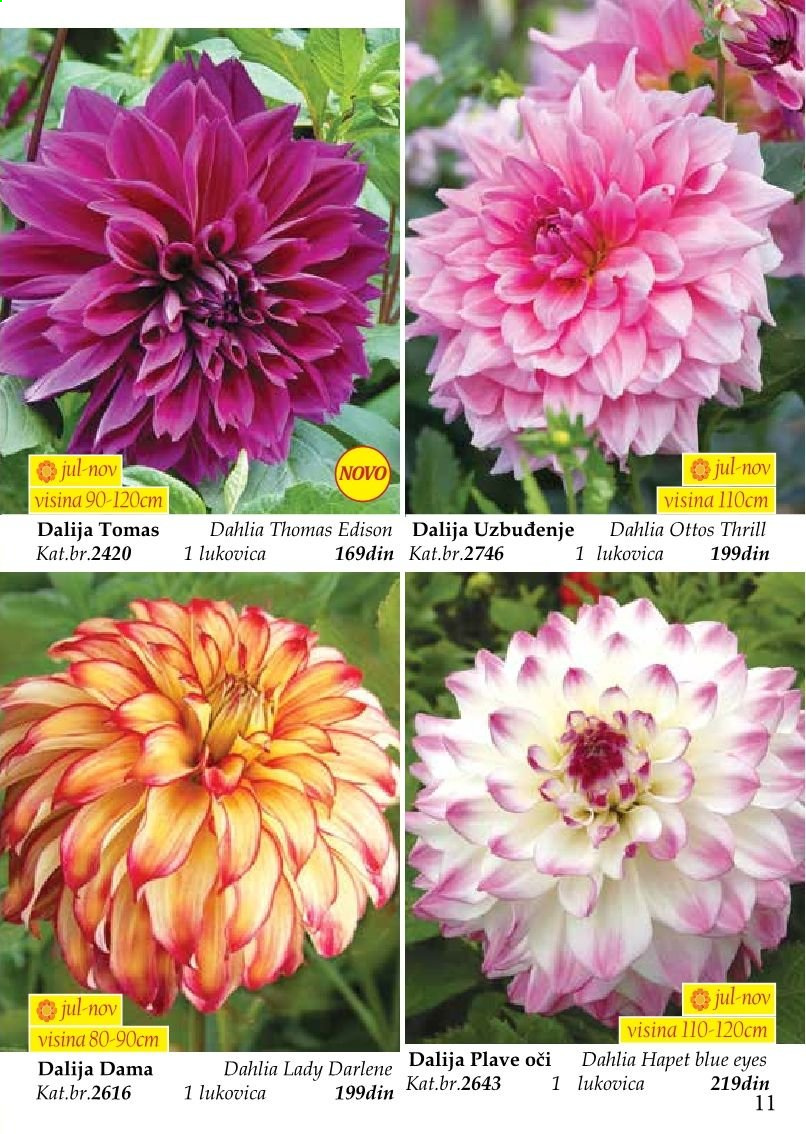 Flora Ekspres katalog. Stranica 11